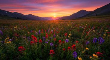 Dramatic Photorealistic Nature Scene with Rich Natural Elements photo