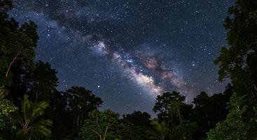 Milky Way Galaxy Shining Above Tropical Forest Trees at Night photo