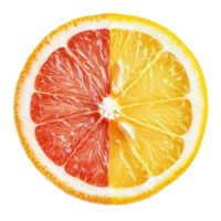 Bright orange grapefruit and lemon slice isolated on a clean transparent background, showcasing vibrant colors and textures, orange grapefruit lemon slice isolated on transparent background png