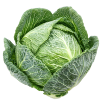 Fresh pointed cabbage on a transparent background showcasing its vibrant green leaves and crisp texture, Pointed cabbage isolated on transparent background png