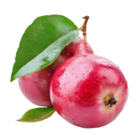 fresco rosa maçãs com vibrante verde folhas exibido em uma transparente fundo, exibindo seus natural beleza, sizigio jambos ou rosa maçã com folha isolado em transparente fundo png