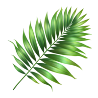 Lush green palm leaf showcasing tropical nature, perfect for adding a vibrant touch to any design project, tropical green palm leaf tree isolated on transparent background png