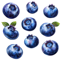 A collection of freshly picked blueberries isolated on a transparent background, showcasing their rich blue color and vibrant texture, blueberries isolated on transparent background png
