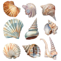 Vintage watercolor shells in various shapes and colors arranged on a transparent background, evoking coastal serenity, Retro vintage shells on transparent background png