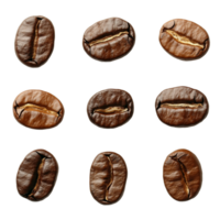 A grid of coffee beans on a light background, highlighting their unique textures and colors, Different angle of individual coffee bean isolated png