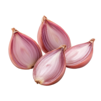 Freshly sliced shallots isolated on a clean transparent background for culinary use and recipe inspiration, shallots slice isolated on transparent background png