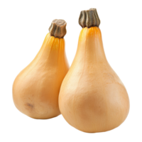 Fresh butternut squash on a transparent background perfect for autumn recipes and seasonal cooking inspiration, Fresh butternut isolated on transparent background png