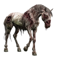 A zombie horse stands alone on a transparent background, showcasing its eerie, decaying features and haunting appearance, Zombie horse isolated on transparent background png