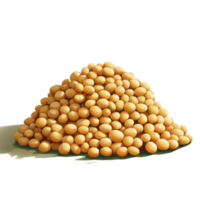 A large heap of soybeans isolated on a plain background showcasing their natural color and texture, Heap of soybeans isolated png
