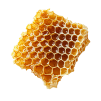 A closeup view of fresh honeycomb isolated on a transparent background for culinary applications, A closeup of a fresh honeycomb on a transparent background png