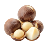 Fresh macadamia nuts isolated on a transparent background showcasing their unique shells and creamy texture, fresh macadamia nuts isolated on transparent background png