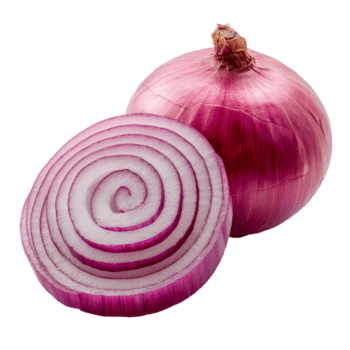 appena affettato rosso cipolla in mostra vivace colore e struttura contro un' pulito trasparente sfondo, rosso affettato cipolla isolato su trasparente sfondo png