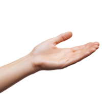 An open hand extended against a simple transparent background showcasing readiness and invitation, hand on transparent backgroundfile png