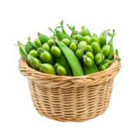 Freshly harvested peas from Incas in a woven basket on a bright transparent background, Peas star Incas in basket on transparent background png