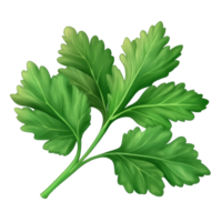 Fresh celery mint parsley leaves displayed on a transparent transparent background for culinary use, Celery Mint Parsley leaf isolated on trransparent png