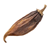 Dried puya pepper with rich colors and textures isolated on a transparent background for culinary use, dried puya pepper isolated on transparent background png