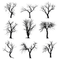 Silhouettes of diverse trees against a transparent background, highlighting their natural forms and branches at twilight, trees silhouettes png