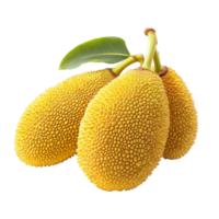 Ripe jackfruits isolated on a pristine transparent background showcasing their unique texture and vibrant color, ripe jack fruits isolated on transparent background png