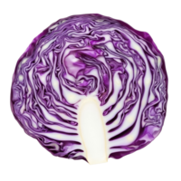 Freshly sliced red cabbage isolated on a transparent background showcasing its vibrant color and intricate layers, Red cabbage slice isolated on transparent background png
