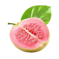 Half pink guava with leaf isolated on a transparent background ready for culinary use or health benefits, half pink guava isolated on transparent background png