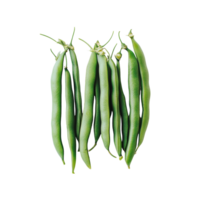 Fresh green beans arranged neatly on a bright transparent background showcasing their vibrant color and texture, green beans on transparent background png