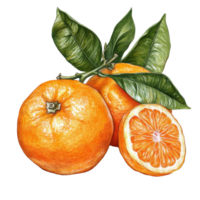 Fresh mandarin oranges with green leaves isolated on a transparent background showcasing their vibrant color and juicy texture, Mandarin iolated on transparent background png