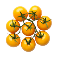 Fresh yellow tomatoes arranged in a cluster on a transparent background for healthy eating inspiration, Yellow tomatoes on transparent background png