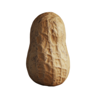 A single peanut on a neutral background, showcasing its natural texture and shape in an artistic arrangement, Single peanut isolated png
