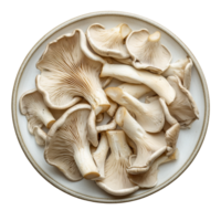 Fresh oyster mushrooms arranged neatly on a transparent plate isolated against a clean transparent background, oyster mushrooms in a plate isolated on transparent background png