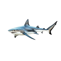 A detailed representation of a shark swimming gracefully against a pure transparent background, shark isolated on transparent background png