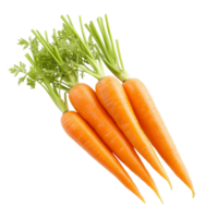 Fresh and vibrant carrots isolated on a transparent background showcasing their natural colors and textures, carrots isolated on transparent background png