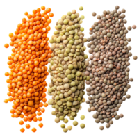 Various types of lentils grouped together on a clean transparent background showcasing their unique colors and textures, Lentils isolated on transparent background png