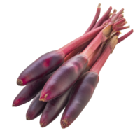 Fresh fingerroot Kaempfer Boesenbergia with vibrant purple skin on a clean transparent background, Fingerroot, Kaempfer, Boesenbergia in on transparent background png