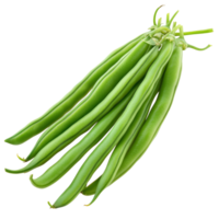 Isolated green bean seeds displayed on a transparent background showcasing their unique characteristics and color, Green beans seeds isolated on transparent background png