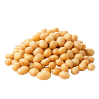 Heap of raw soybeans isolated against a clean transparent background showcasing their natural color and texture, Heap of soybeans isolated on transparent background Clipping path included png