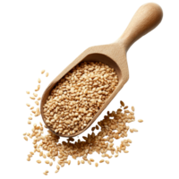Scoop filled with sesame seeds resting on a clean transparent background showcasing the seeds natural texture, sesame in scoop on transparent background png