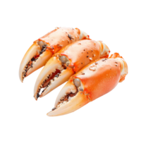 Boiled crab claws on a transparent background highlighting their natural color and texture, Boiled crab claws isolated on transparent background png