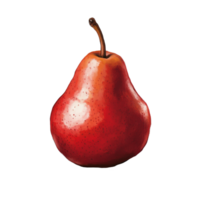 A single red pear on a clean transparent background displaying its smooth surface and vibrant color, red pear on transparent background png