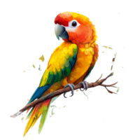 A cute baby parrot perched on a tree branch against a soft transparent background, showcasing its vibrant colors and playful demeanor, Cute baby parrot on tree branch transparent background. parrot png