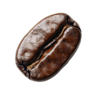 A single roasted coffee bean isolated on a transparent background showcasing its rich brown color and texture, coffee bean isolated on transparent background png