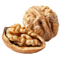 Isolated walnut in its shell showing intricate textures and natural patterns against a plain transparent background, Isolated walnut in shell png
