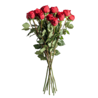Beautiful bouquet of red roses isolated on a transparent background enhancing elegance and charm, bouquet of red roses, file of isolated object on transparent background png