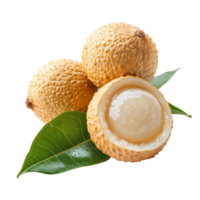 Fresh longan fruits with green leaves on a transparent background ready for serving, showcasing their natural appeal, fresh longan with leaf on transparent background png