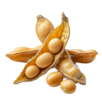 Closeup view of fresh soybeans in a pod isolated on a transparent background for culinary and agricultural use, Soybean isolated on transparent background, closeup png