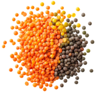 A colorful assortment of lentils on a transparent surface showcasing various types and textures, lentils on transparent background png