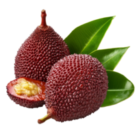 Fresh salak fruit with green leaves displayed on a clean transparent background highlighting its unique texture and color, Fruit Salak with leaf isolated on transparent background png