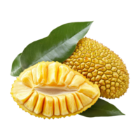 Fresh jackfruit with vibrant green leaves on a pristine transparent background, showcasing its unique texture and color, Jackfruit with leaf isolated on transparent background png