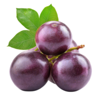 Burmese grape fruit showcasing rich color and texture on a simple transparent background, burmese grape, tropical fruit isolated on transparent background png