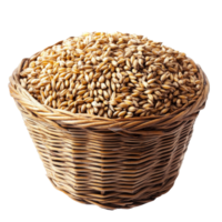 Natural barley grains in a rustic basket on a transparent background showcasing their texture and color, Barley Grains in the basket on transparent background png