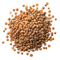 Brown lentils on a transparent background, highlighting their natural shape and color in an elegant display, Brown Lentils isolated on transparent background png